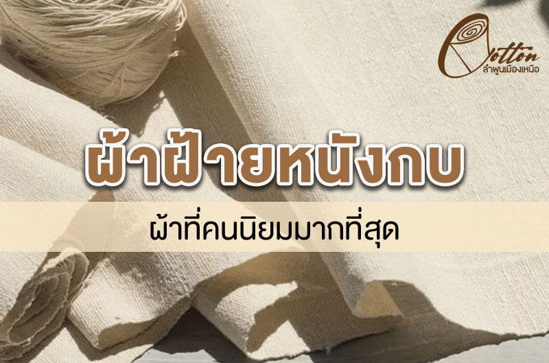 ผ้าเมตร ผ้าฝ้าย