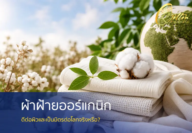 ผ้าฝ้ายออร์แกนิก